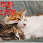 【東京都・私立大】有機化学研究室のホームページリンク集