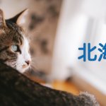 【北海道】有機化学研究室のホームページリンク集