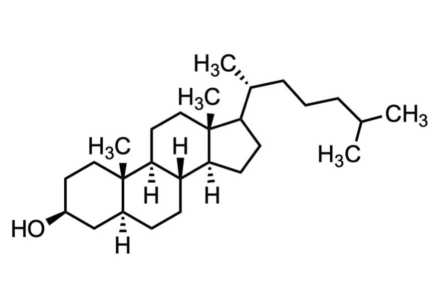 β-コレスタノール (α-体含む)