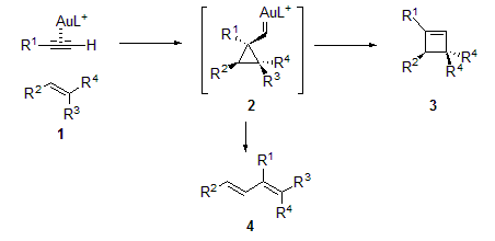末端アルキンとアルケンからシクロブテン、1,3-ジエンを合成する反応