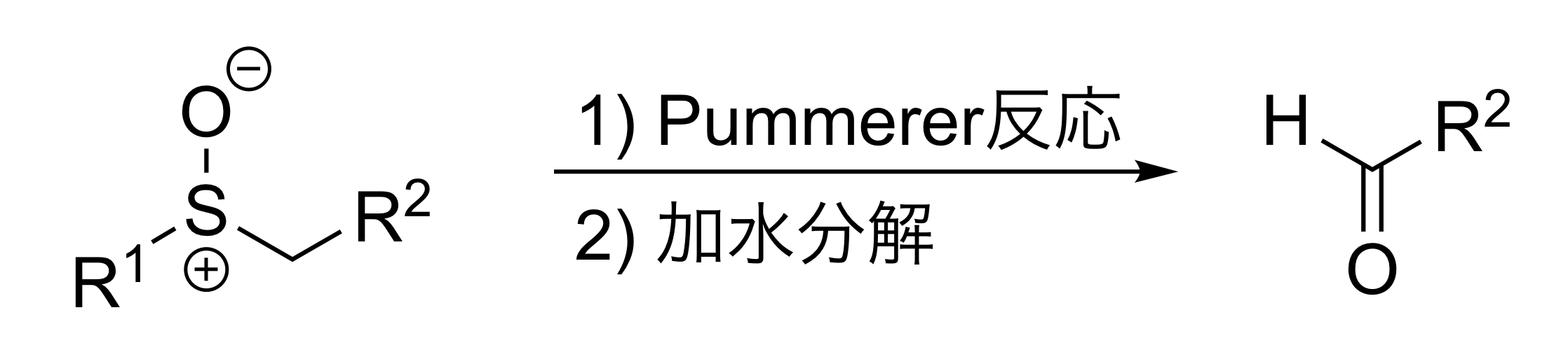 Pummerer転位後の加水分解